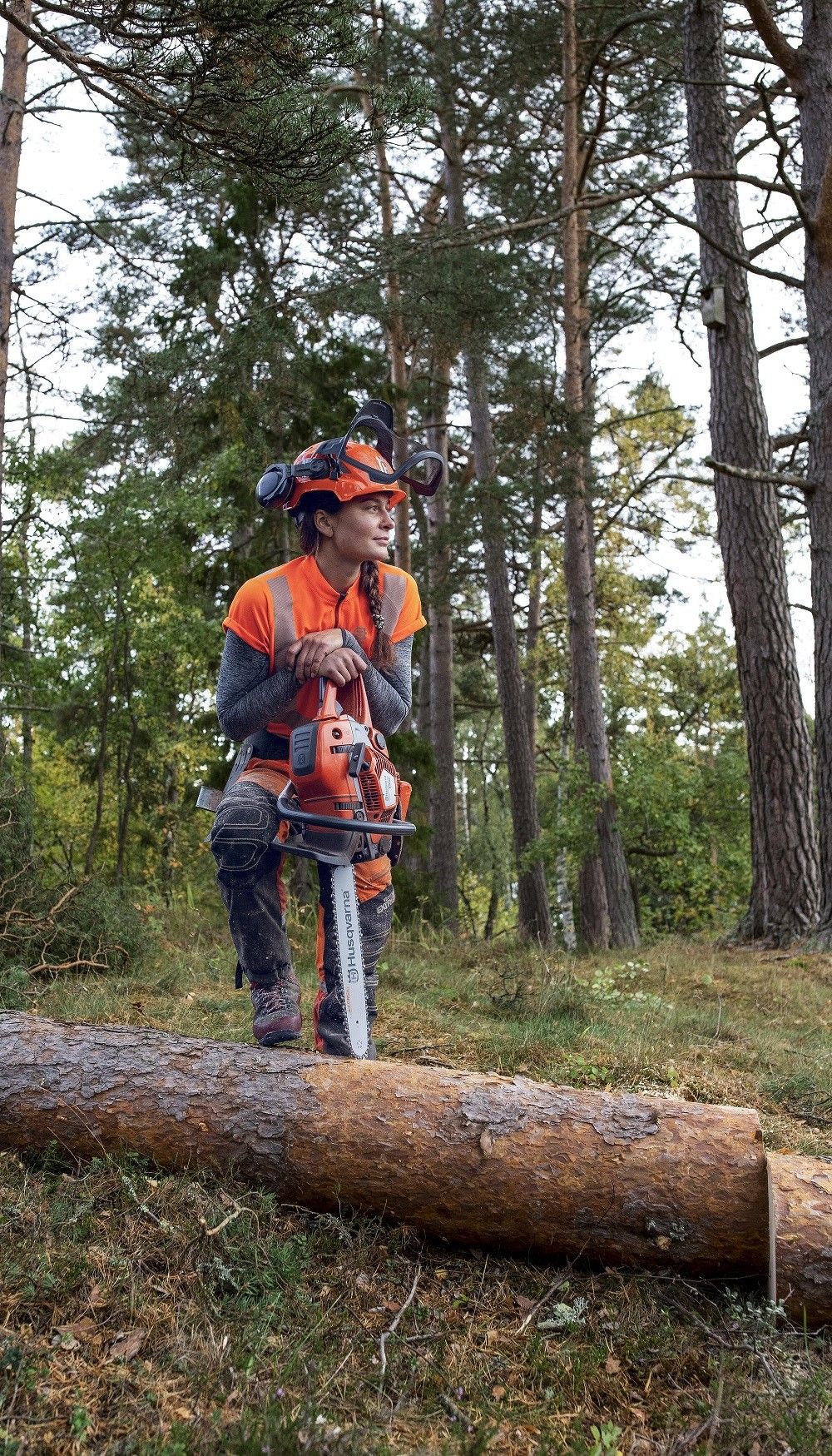 Хускварна: як вибрати шину для бензопили Husqvarna